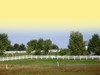 004_4gradientYELLOW.jpg