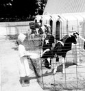 Girlcalf.jpg